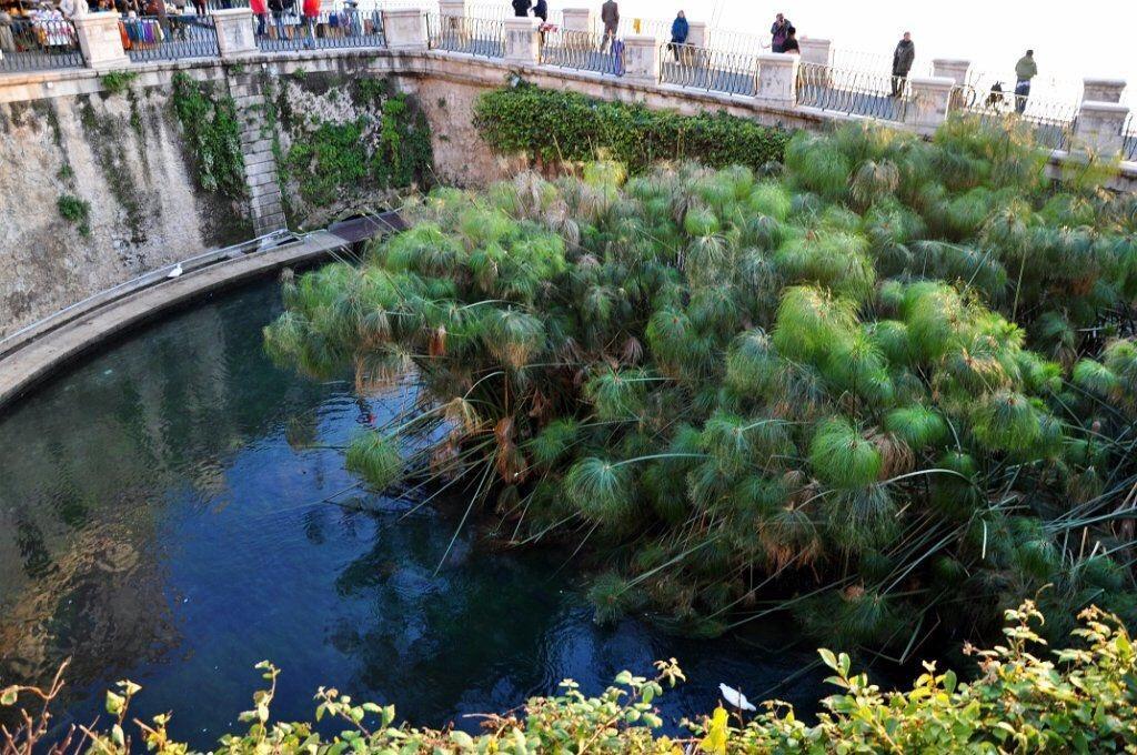 Siracusa Vacanze Siraküza Oda fotoğraf